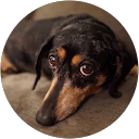 Cas T. profile picture
